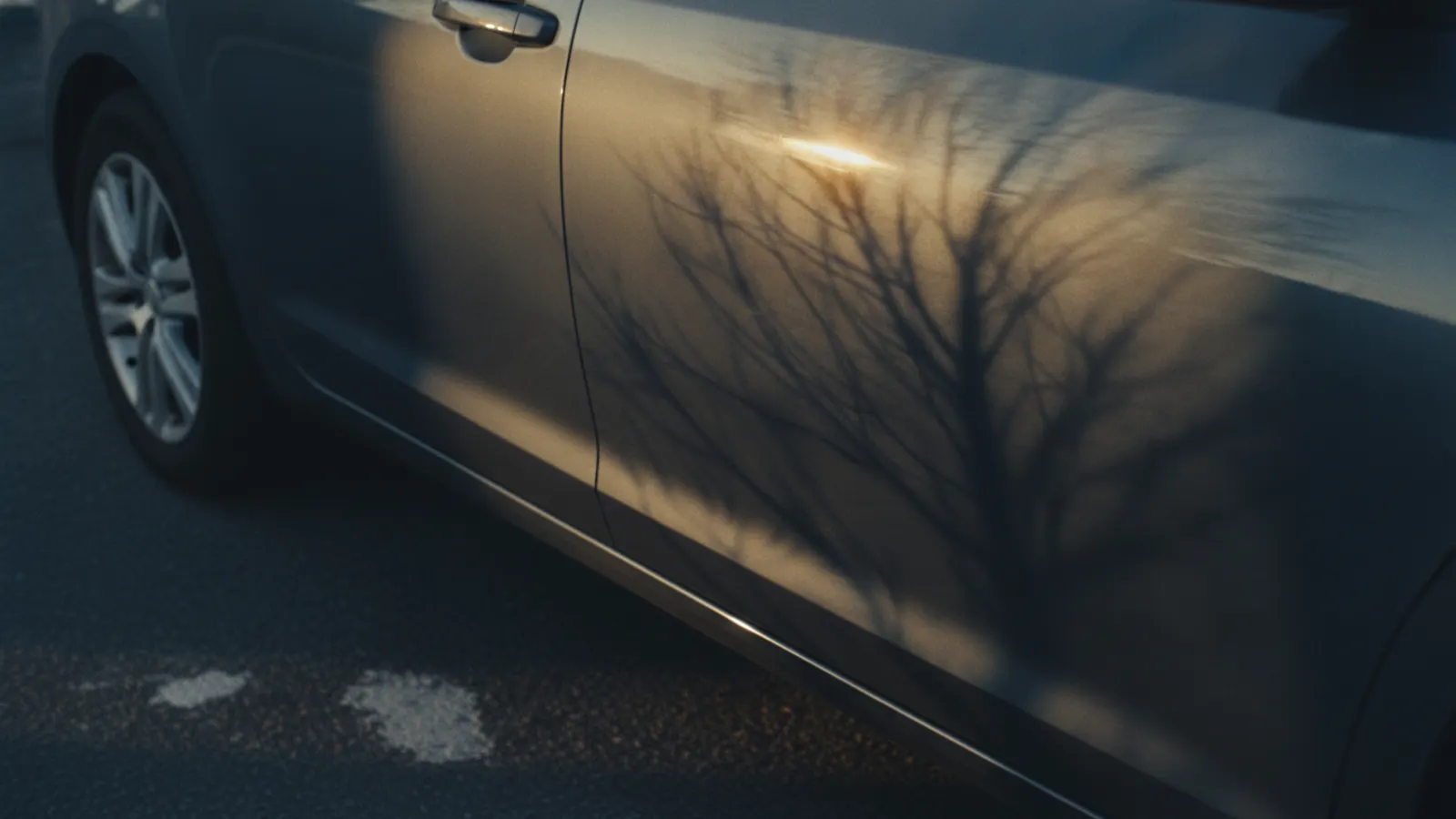 Low golden light across the repainted door panel of a parked car, with a tree reflected along it.